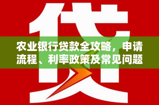 淇滨农业银行贷款全攻略，申请流程、利率政策及常见问题解析
