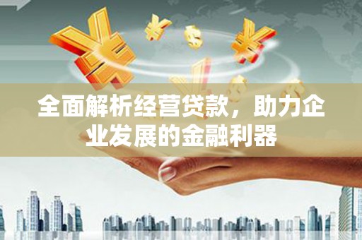 淇滨全面解析经营贷款，助力企业发展的金融利器