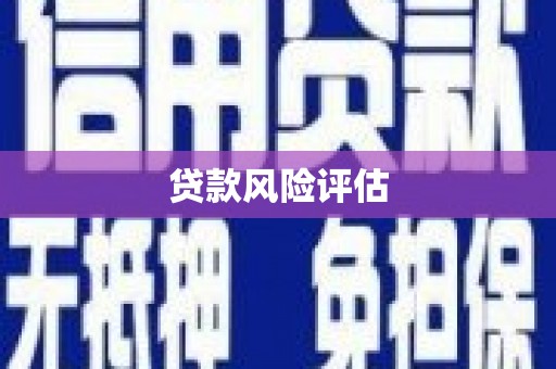 淇滨贷款风险评估