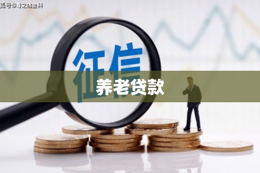 淇滨养老贷款