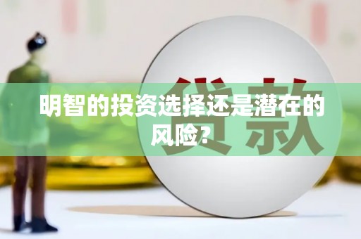 淇滨明智的投资选择还是潜在的风险？