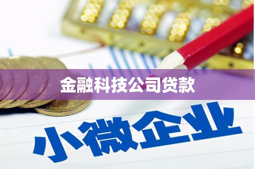 淇滨金融科技公司贷款