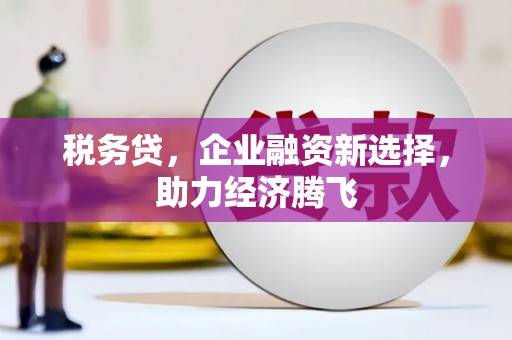 淇滨税务贷，企业融资新选择，助力经济腾飞