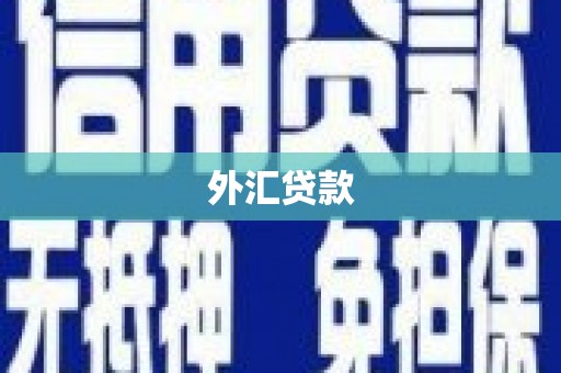 淇滨外汇贷款