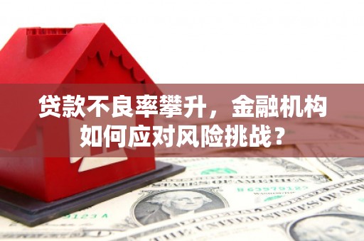 淇滨贷款不良率攀升，金融机构如何应对风险挑战？