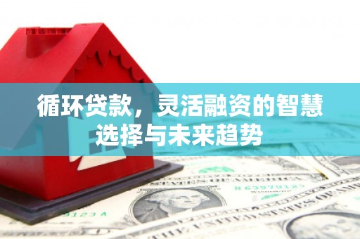 淇滨循环贷款，灵活融资的智慧选择与未来趋势