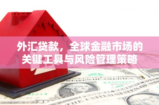 淇滨外汇贷款，全球金融市场的关键工具与风险管理策略