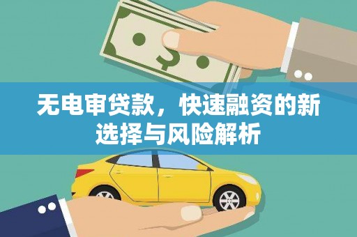 淇滨无电审贷款，快速融资的新选择与风险解析