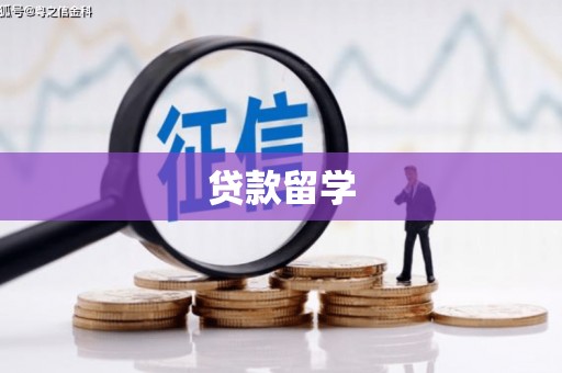淇滨贷款留学