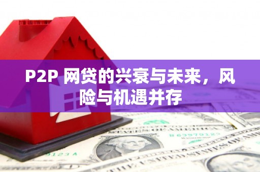 淇滨P2P 网贷的兴衰与未来，风险与机遇并存