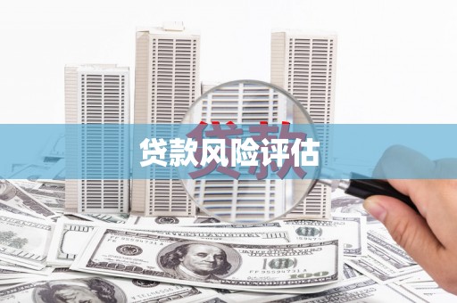 淇滨贷款风险评估