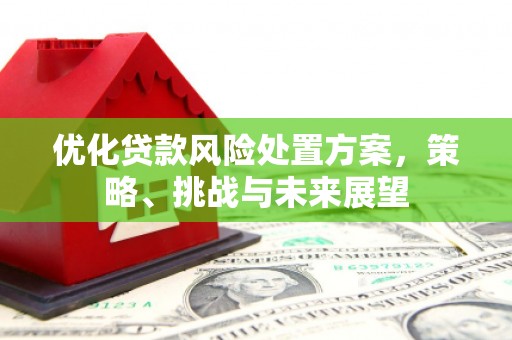 淇滨优化贷款风险处置方案，策略、挑战与未来展望