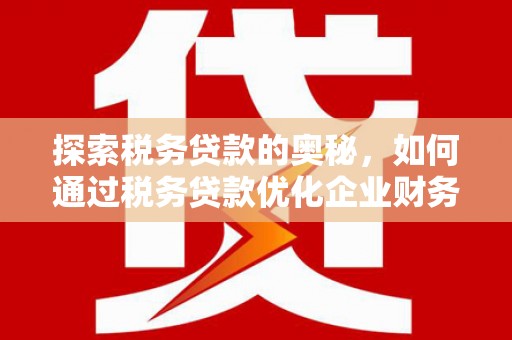淇滨探索税务贷款的奥秘，如何通过税务贷款优化企业财务
