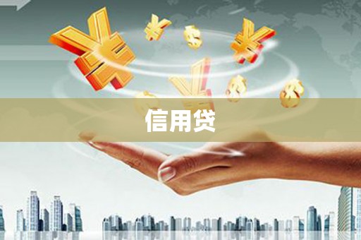 淇滨信用贷