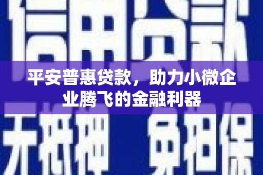 淇滨平安普惠贷款，助力小微企业腾飞的金融利器