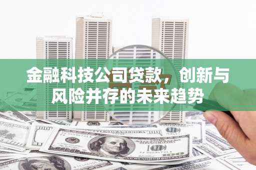 淇滨金融科技公司贷款，创新与风险并存的未来趋势