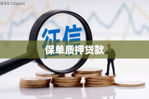 淇滨保单质押贷款