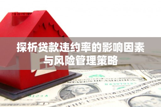 淇滨探析贷款违约率的影响因素与风险管理策略