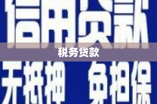 淇滨税务贷款