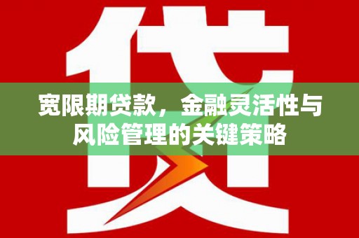 淇滨宽限期贷款，金融灵活性与风险管理的关键策略
