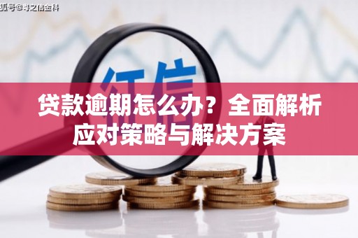 淇滨贷款逾期怎么办？全面解析应对策略与解决方案