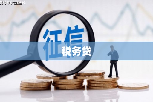 淇滨税务贷