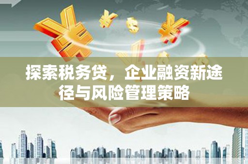 淇滨探索税务贷，企业融资新途径与风险管理策略