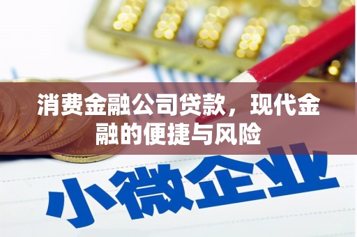淇滨消费金融公司贷款，现代金融的便捷与风险