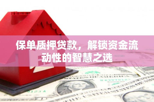 淇滨保单质押贷款，解锁资金流动性的智慧之选