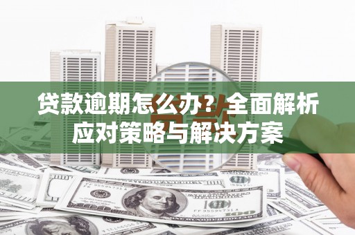 淇滨贷款逾期怎么办？全面解析应对策略与解决方案