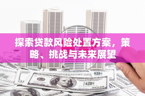 淇滨探索贷款风险处置方案，策略、挑战与未来展望