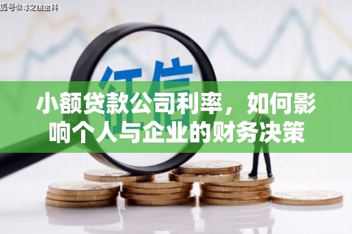 淇滨小额贷款公司利率，如何影响个人与企业的财务决策