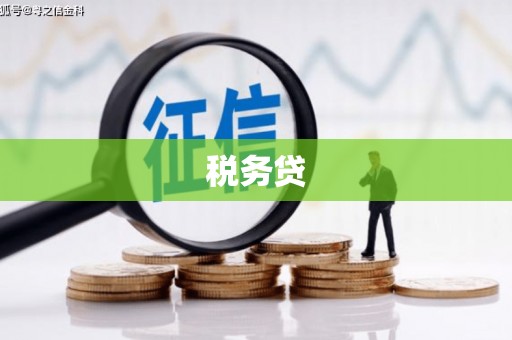 淇滨税务贷