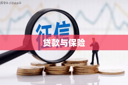 淇滨贷款与保险