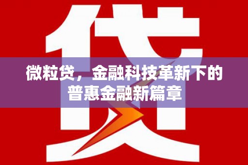淇滨微粒贷，金融科技革新下的普惠金融新篇章