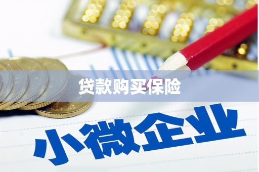 淇滨贷款购买保险