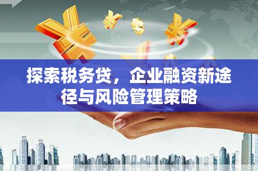 淇滨探索税务贷，企业融资新途径与风险管理策略