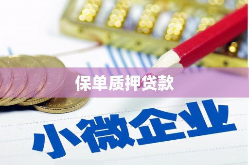 淇滨保单质押贷款