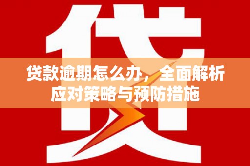 淇滨贷款逾期怎么办，全面解析应对策略与预防措施