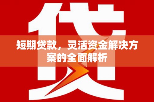 淇滨短期贷款，灵活资金解决方案的全面解析