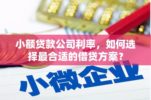 淇滨小额贷款公司利率，如何选择最合适的借贷方案？