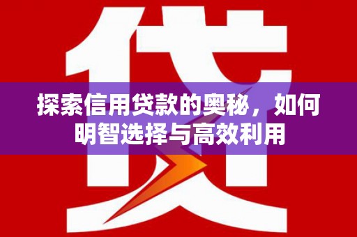 淇滨探索信用贷款的奥秘，如何明智选择与高效利用
