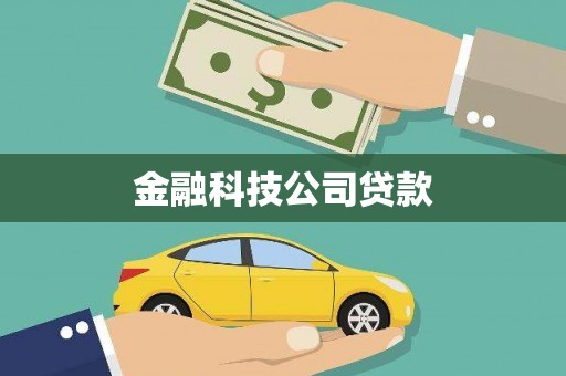 淇滨金融科技公司贷款
