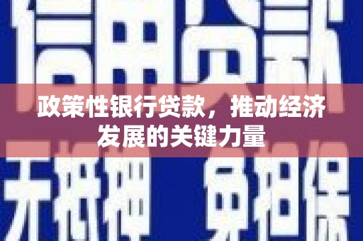 淇滨政策性银行贷款，推动经济发展的关键力量
