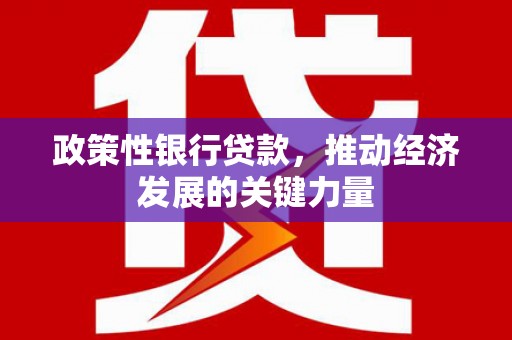 淇滨政策性银行贷款，推动经济发展的关键力量