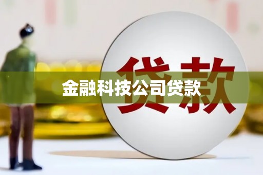 淇滨金融科技公司贷款