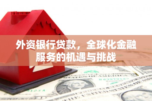 淇滨外资银行贷款，全球化金融服务的机遇与挑战