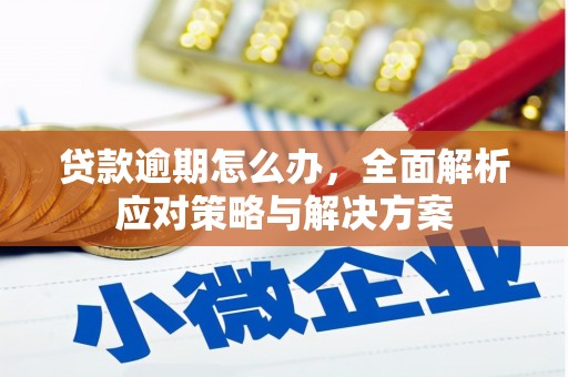 淇滨贷款逾期怎么办，全面解析应对策略与解决方案