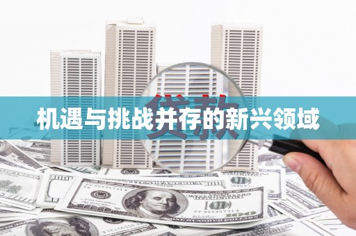 淇滨机遇与挑战并存的新兴领域